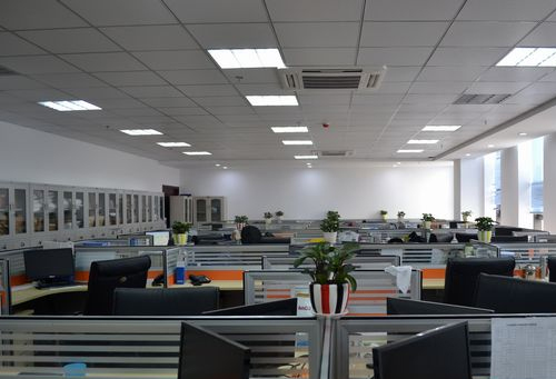 以菌治菌：現代農業的“微”版生物防治戰:生物防治