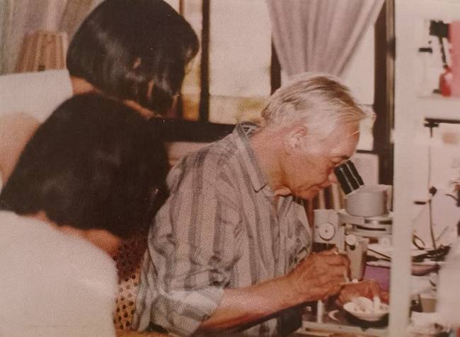 福建農(nóng)林大學(xué)植物保護學(xué)院:生物防治筑綠盾 “蟲口奪糧”護豐年:生物防治