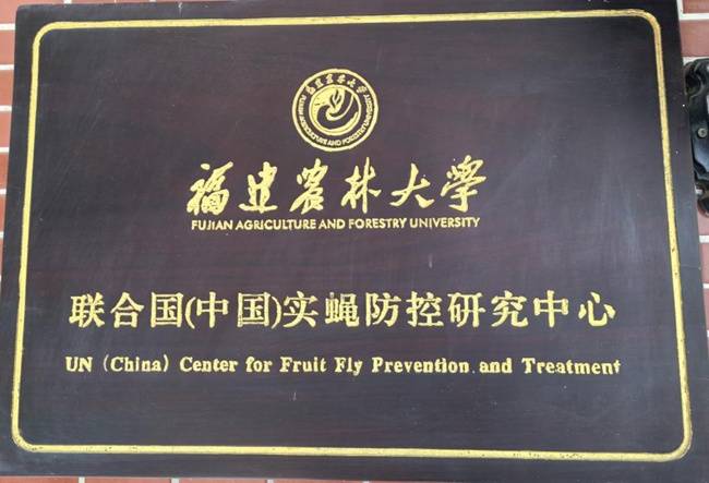 福建農(nóng)林大學(xué)植物保護學(xué)院:生物防治筑綠盾 “蟲口奪糧”護豐年:生物防治