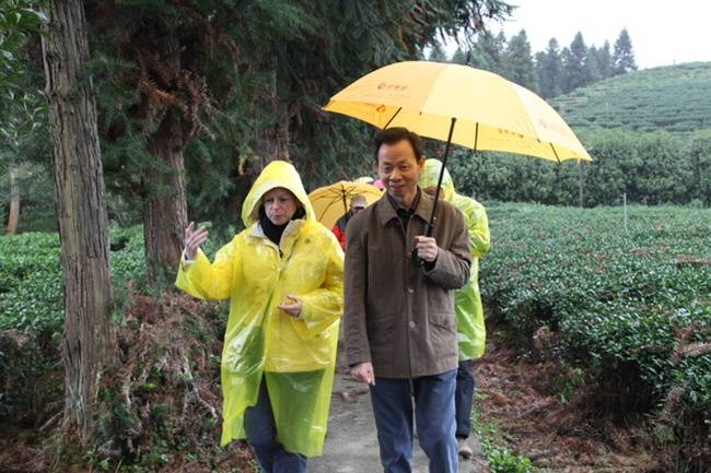 福建農(nóng)林大學(xué)植物保護學(xué)院:生物防治筑綠盾 “蟲口奪糧”護豐年:生物防治