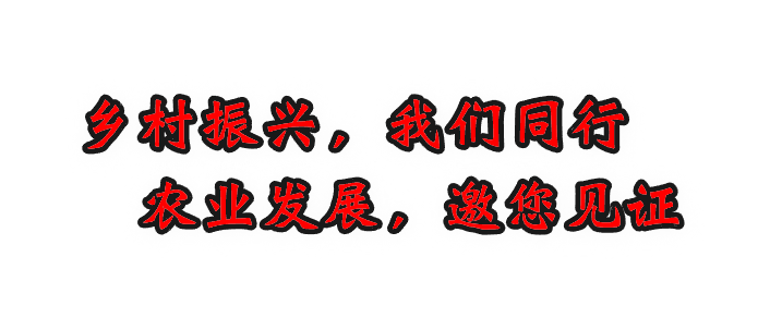 鐘山區(qū)大河鎮(zhèn)開展糧食作物病蟲害防治及鼠害綠色防控技術(shù)集成示范現(xiàn)場培訓(xùn)會:病蟲害防治