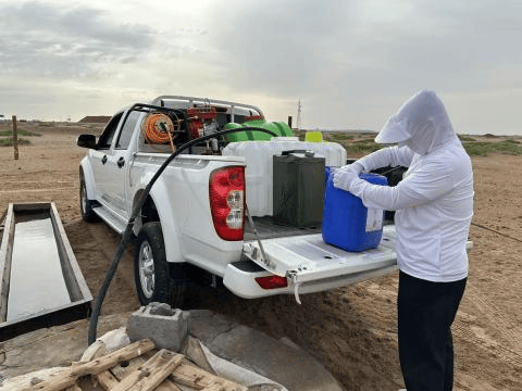 【工作動(dòng)態(tài)】阿拉善左旗林業(yè)和草原病蟲害防治檢疫站開展森林保險(xiǎn)蟲害防治工作 守護(hù)綠色家園:病蟲害防治