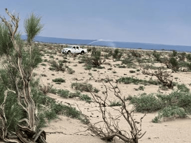 【工作動(dòng)態(tài)】阿拉善左旗林業(yè)和草原病蟲害防治檢疫站開展森林保險(xiǎn)蟲害防治工作 守護(hù)綠色家園:病蟲害防治